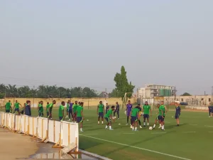 Super Eagles