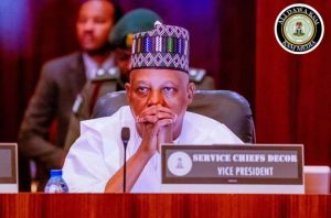 VP Kashim Shettima