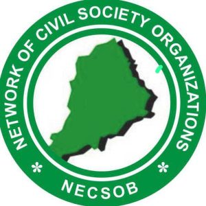 Borno State CSOs