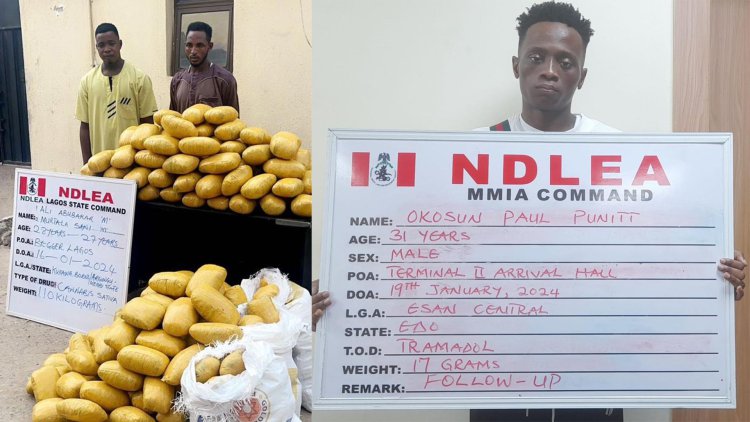 NDLEA arrests 3 suspects with 5,653,000 pills of tramadol in Kano 5