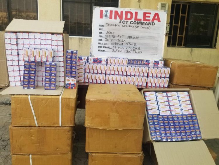 NDLEA arrests 3 suspects with 5,653,000 pills of tramadol in Kano 2 NDLEA