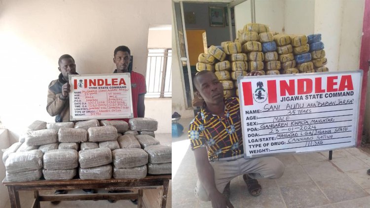 NDLEA seizes 599,900 tramadol pills from Pakistan 2