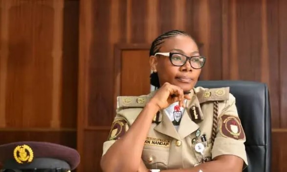 New Comptroller-General of the Nigeria Immigration Service (NIS), DCG Kemi Nandap