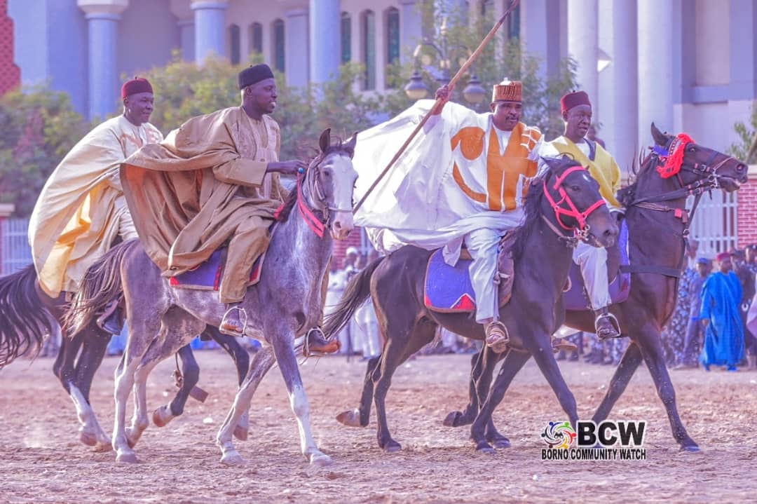 Borno to partner FG, NEDC in establishing Kanemi Museum – Zulum 6 IMG 20240218 WA0047