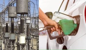 Electricity and fuel subsidy
