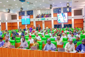 Lawmakers at the House of Representatives