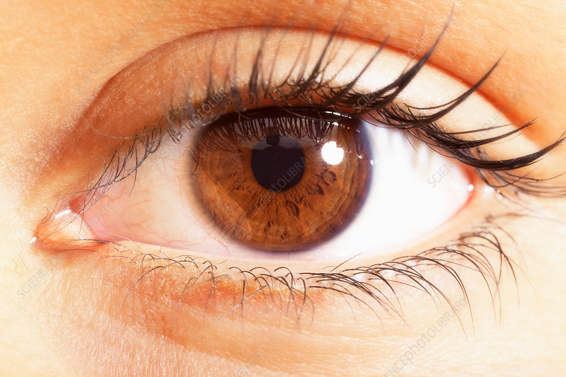 Extreme close up of brown eyes