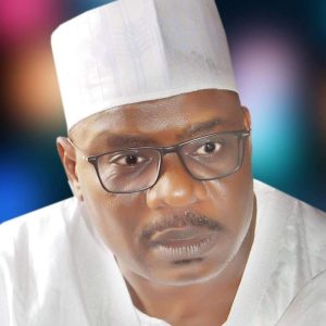 Senator Ali Ndume