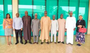 Zulum seeks AfDB, support on basic service delivery in agriculture