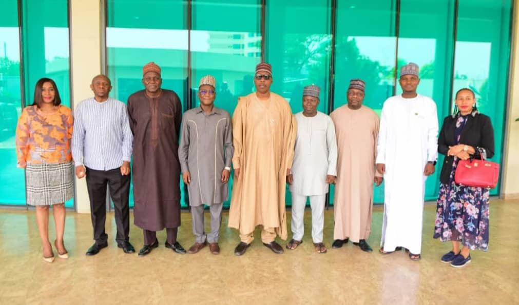 Zulum seeks AfDB, support on basic service delivery in agriculture