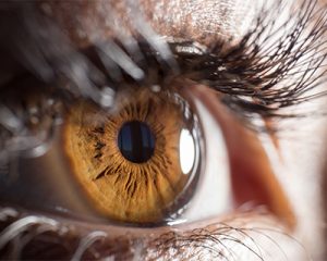 brown eye