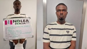 NDLEA arrests drug suspect
