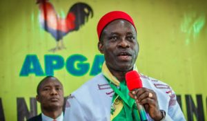 Anambra State Governor, Charles Soludo