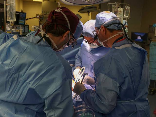 Pig kidney successfully transplanted into 62-year-old in U.S.