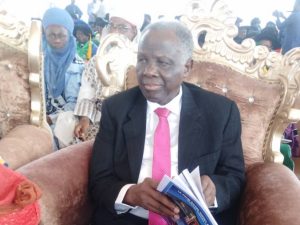 Former Minister of Information, Prof. Jerry Gana
