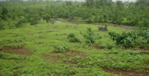 land picture