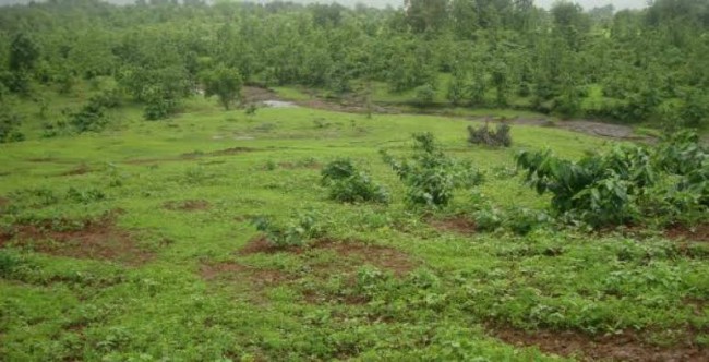 land picture