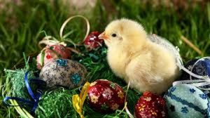 Easter sysmbol 1