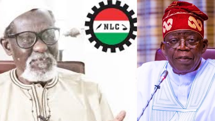 Former Labour leader, Ali Ciroma and President Bola Tinubu