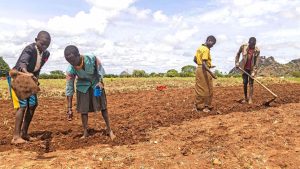 Ugandan farmers