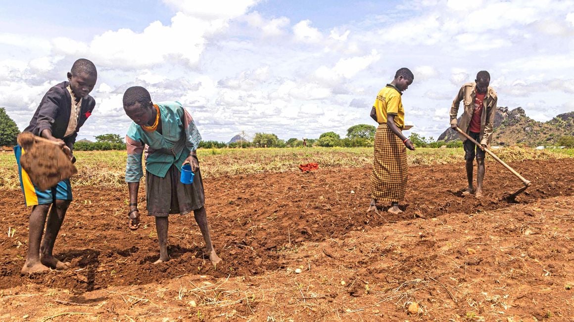 Ugandan farmers