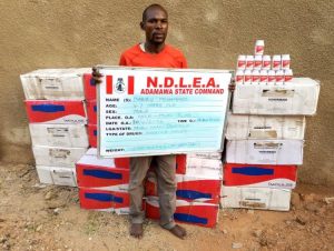NDLEA arrests drug suspect