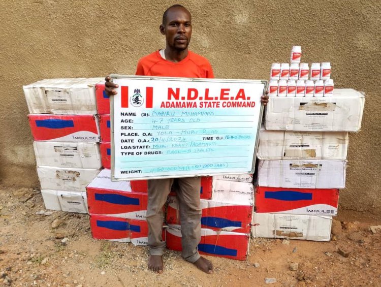 NDLEA arrests drug suspect 