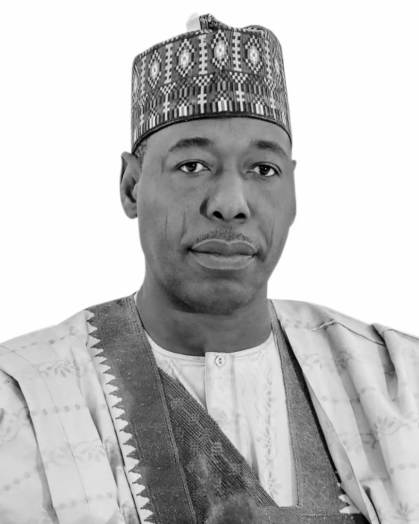 Borno State Governor, Babagana Zulum