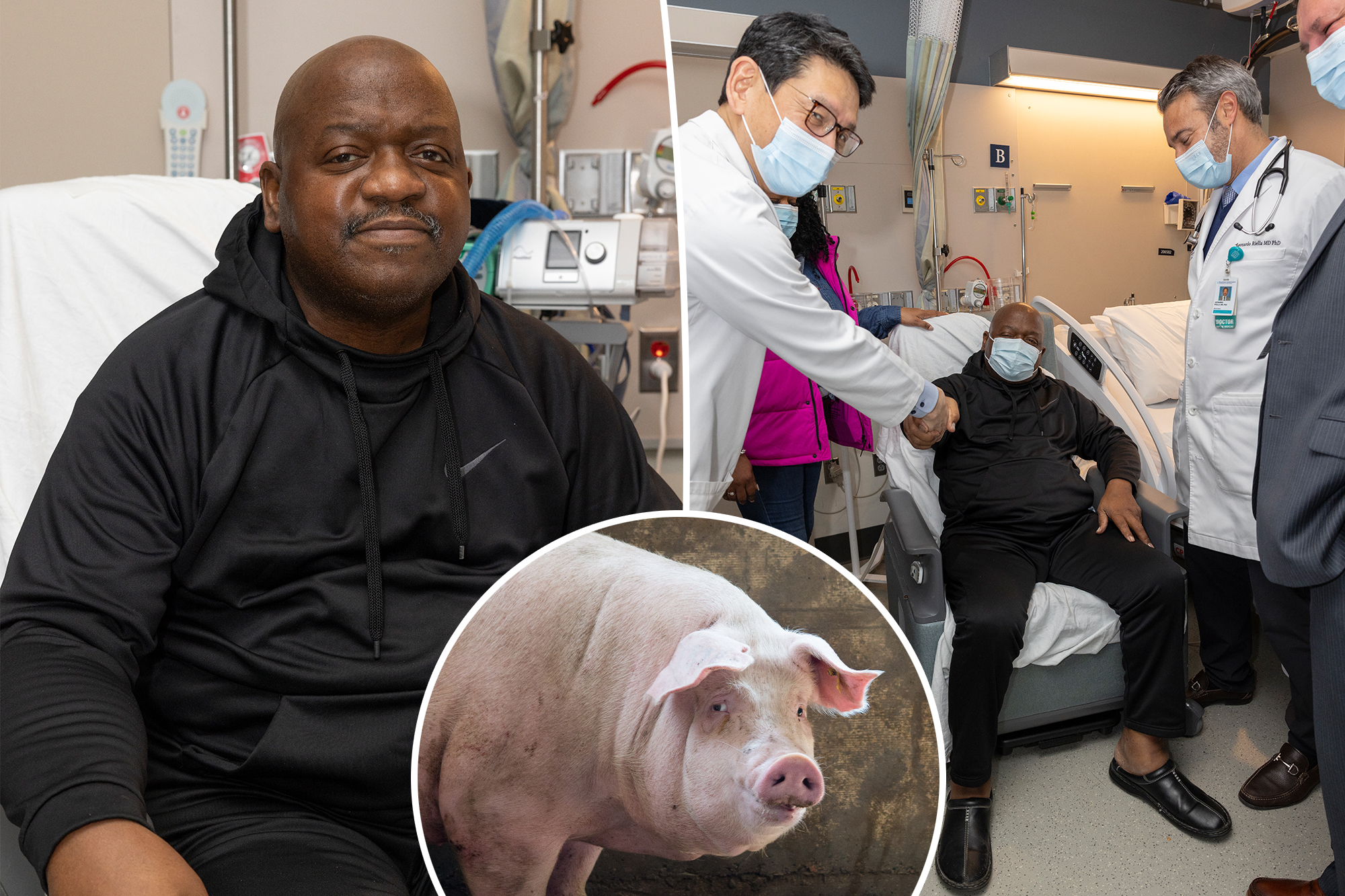 Pig transplant 2024 05 12T135746.445