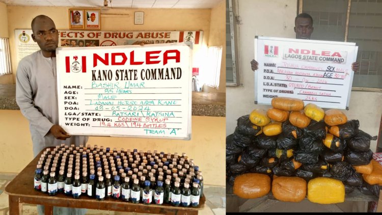 NDLEA intercepts 4,752kg cannabis concealed in gas tanker in Abuja 3