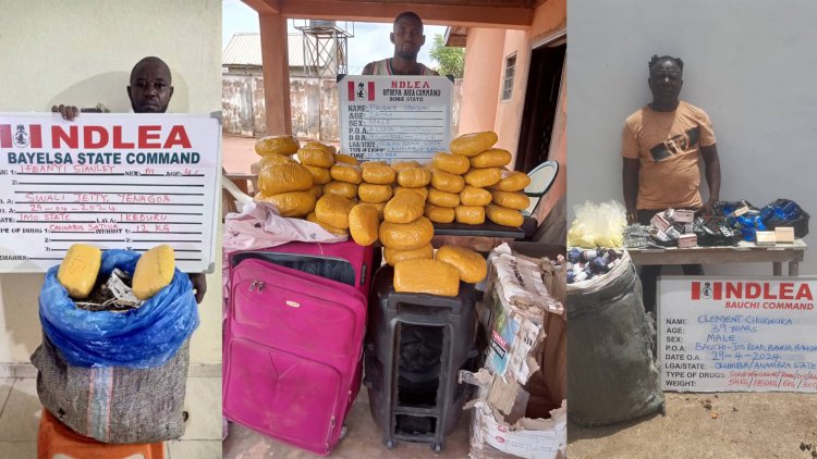 NDLEA intercepts 4,752kg cannabis concealed in gas tanker in Abuja 4
