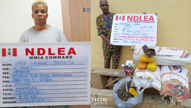 NDLEA intercepts 4,752kg cannabis concealed in gas tanker in Abuja 2