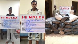 Drug suspects arrested by NDLEA operatives
