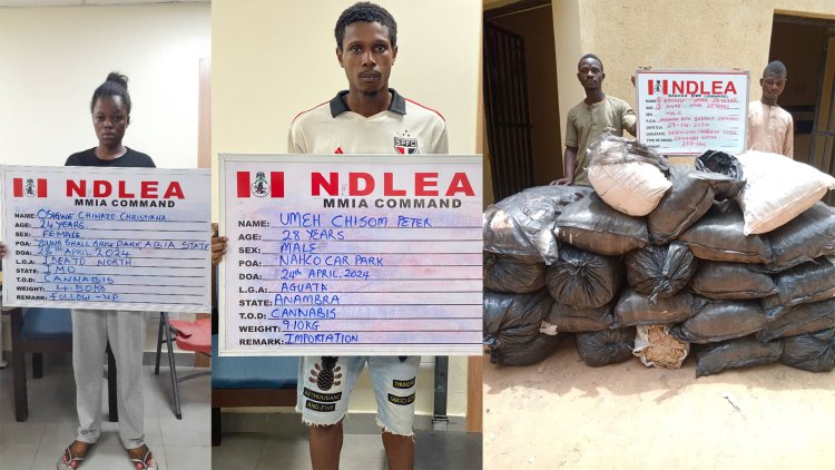 Drug suspects arrested by NDLEA operatives