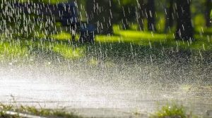 Rainfall