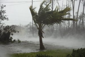 rain 1024x682 1