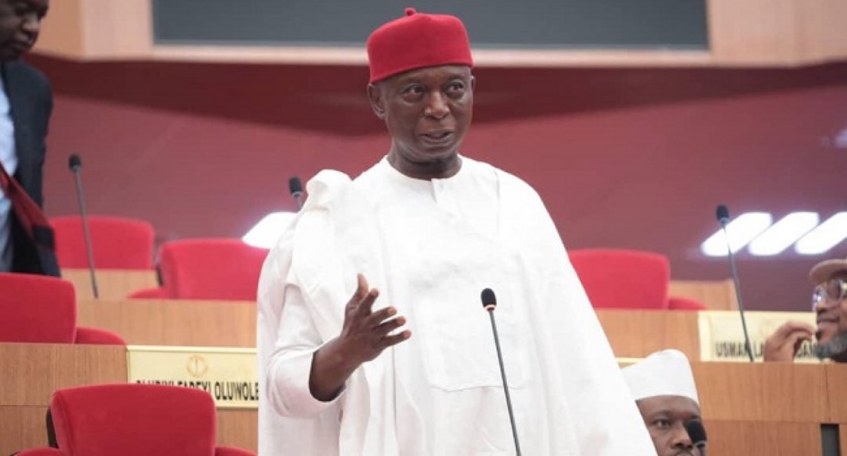 Senator Ned Nwoko