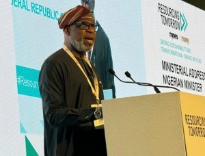 Minister of Solid Minerals Development, Dr Dele Alake