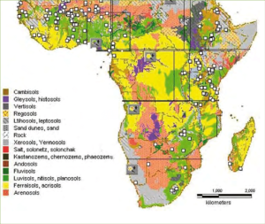 Soil map of Africa according to the FAO Unesco classification
