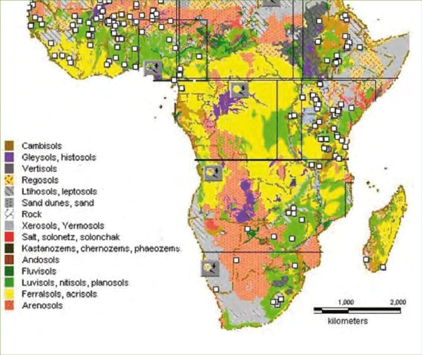 Soil map of Africa according to the FAO Unesco classification
