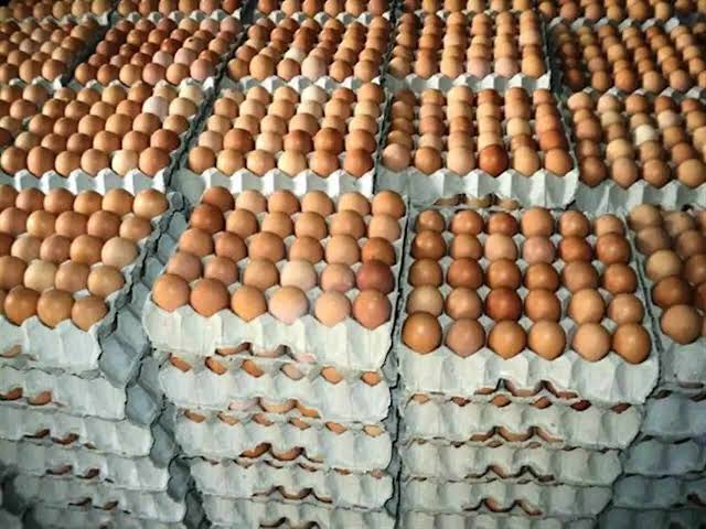 creates of eggs