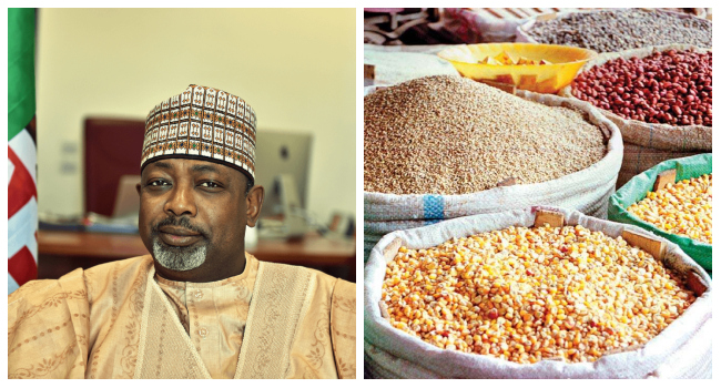 Minister of Agriculture and Food Security, Abubakar Kyari
