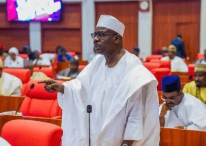 Senator Ali Ndume