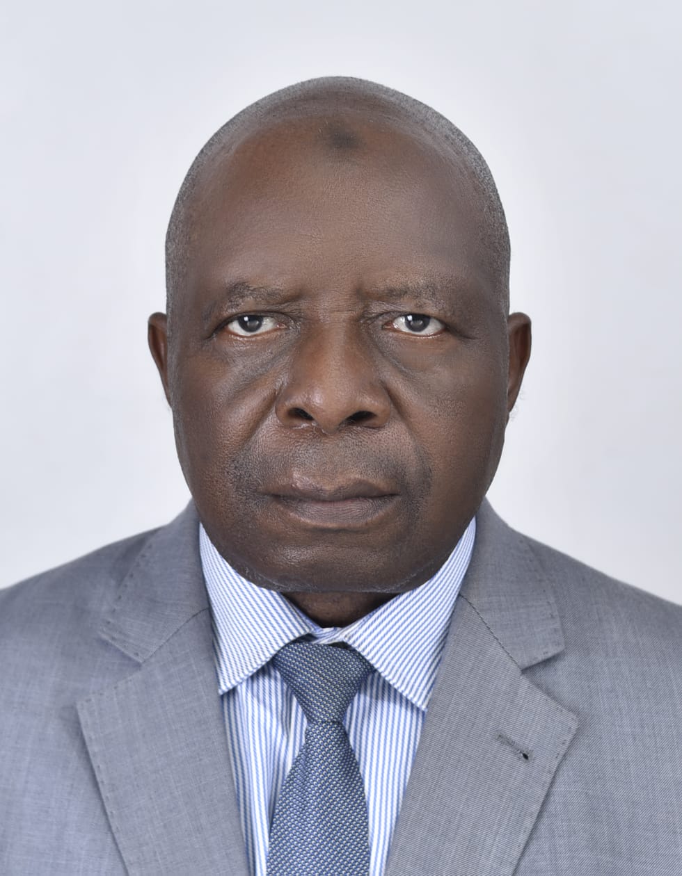 Ambassador Ali Ocheni