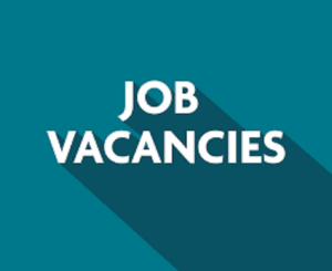Job