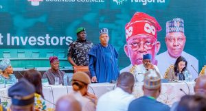 Shettima1