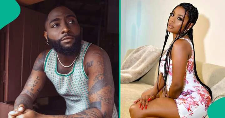 Davido and Sophia Momodu