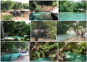 Bauchi State Tourism