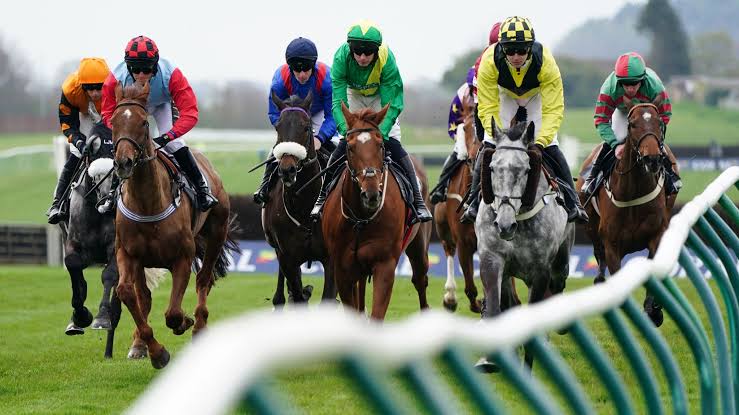 Horse Racing