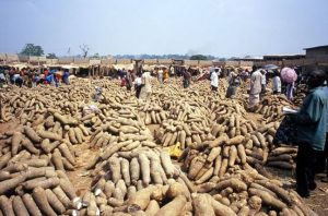 Yam sellers